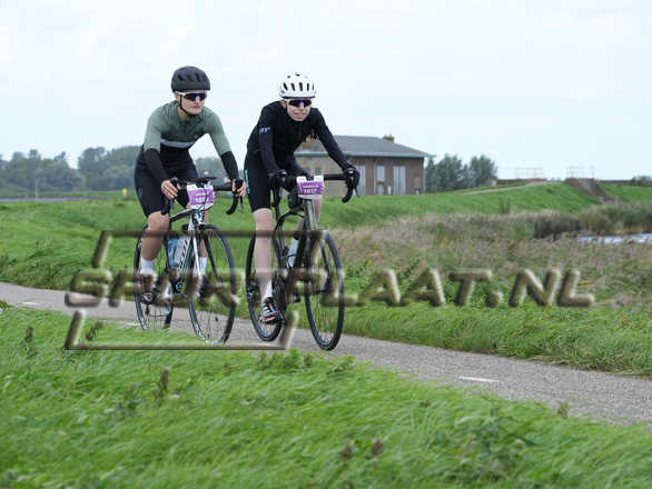 D6655.jpg